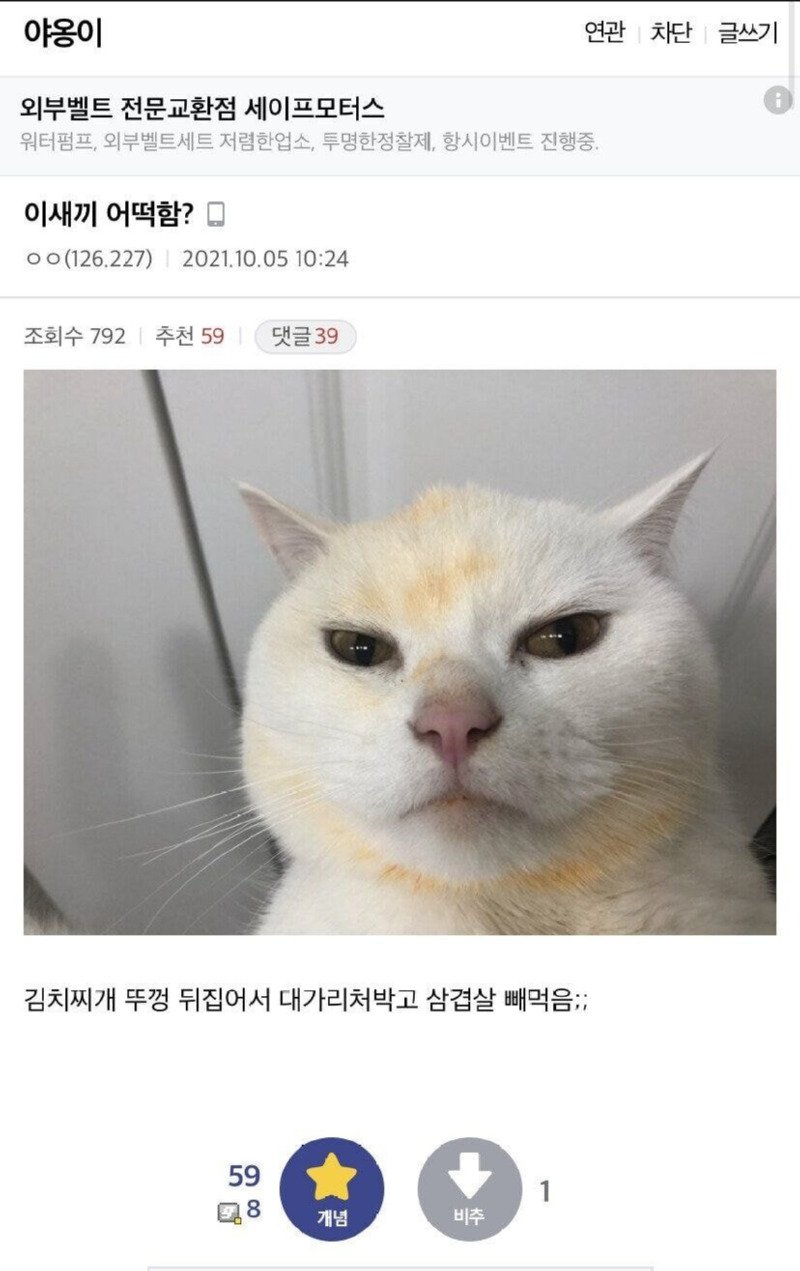 절대 먹은적 없는 고양이들