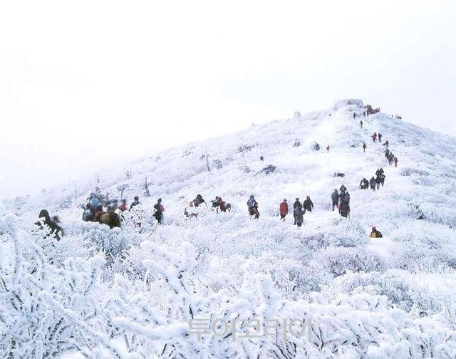 태백산 소백산   