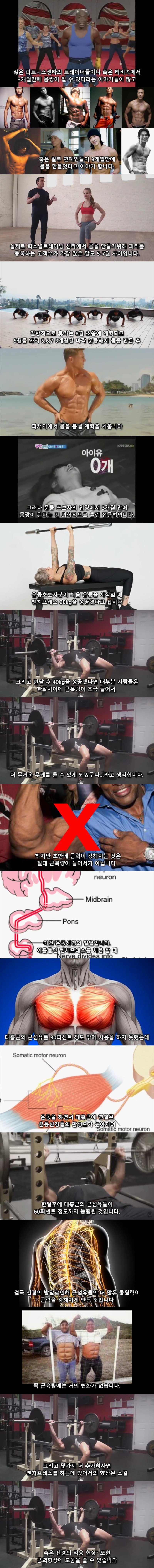 운동 3개월만에 몸짱이 될 수 없는 이유.jpg