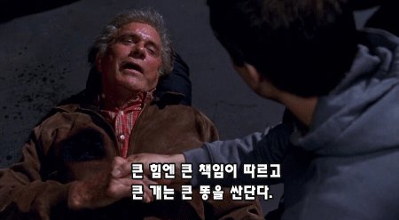 골댕이가 배터리를 먹었는지 걱정이된 댕주인