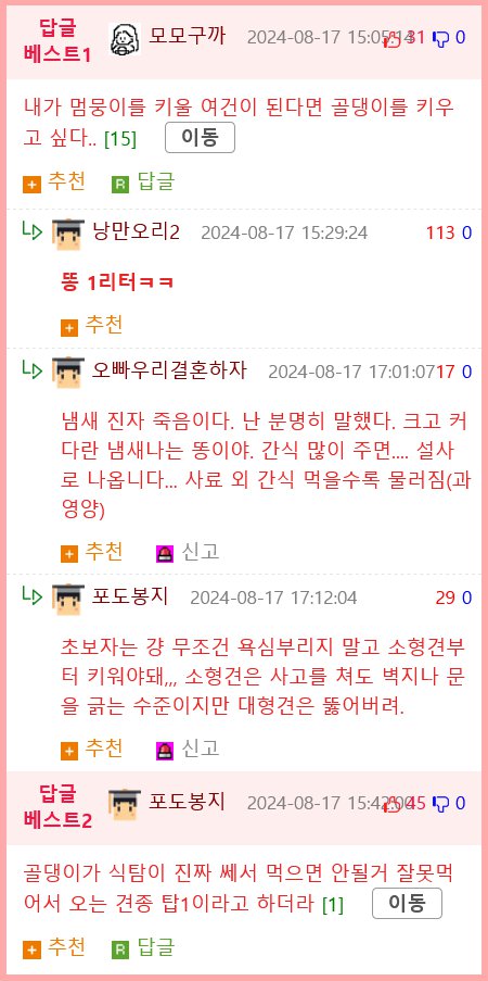 골댕이가 배터리를 먹었는지 걱정이된 댕주인