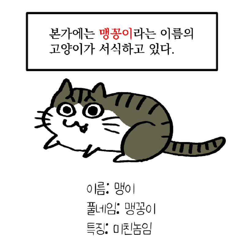 길냥이를 주워왔는데 궁극의 고양이었다.manhwa