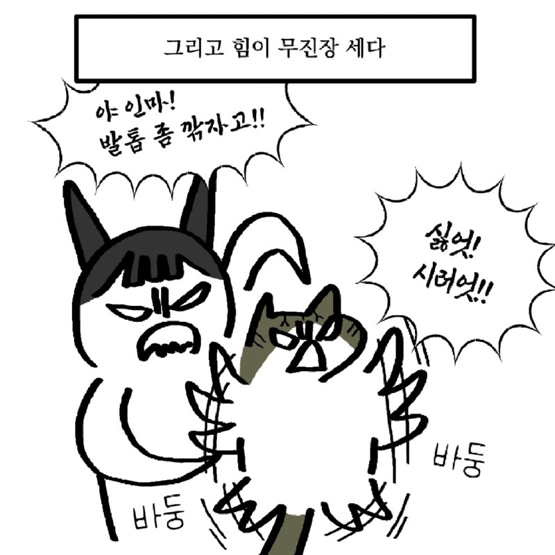 길냥이를 주워왔는데 궁극의 고양이었다.manhwa