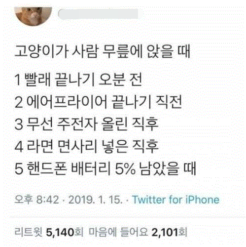 고양이가 무릎위에 올라올 때.. ㅋ