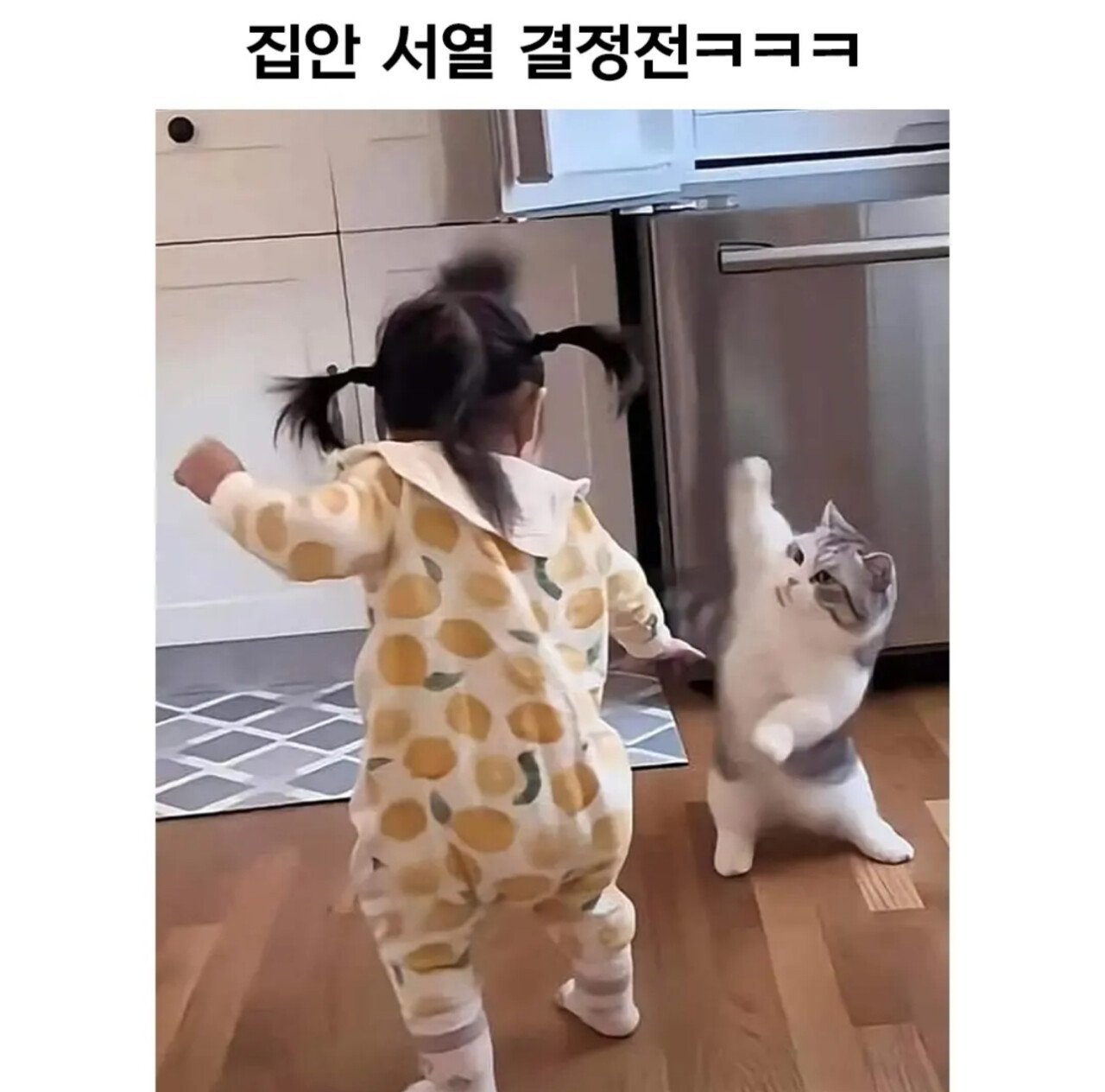 집안 서열 결정전