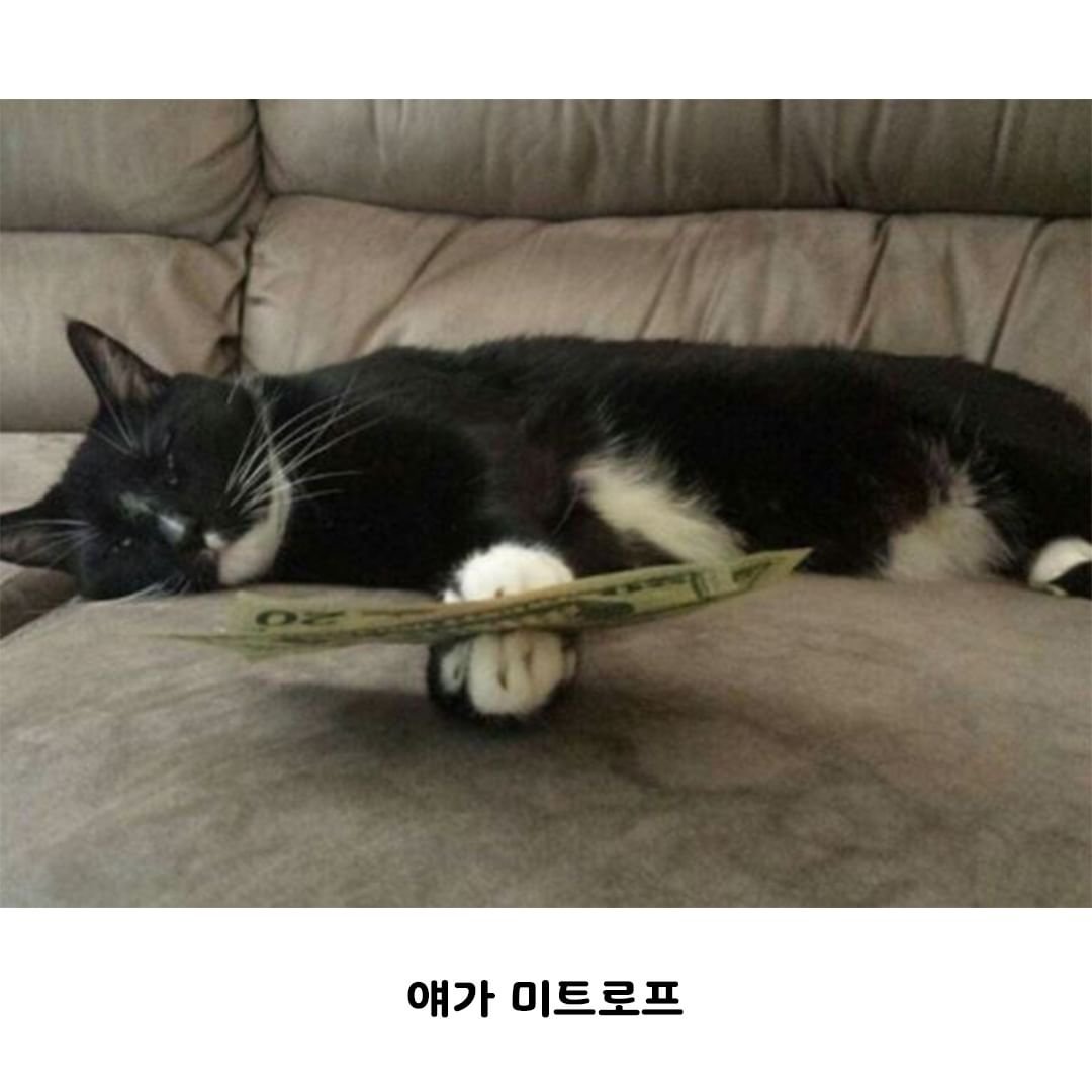 가족들이 나 빼고 밥 먹으러 나갔다.