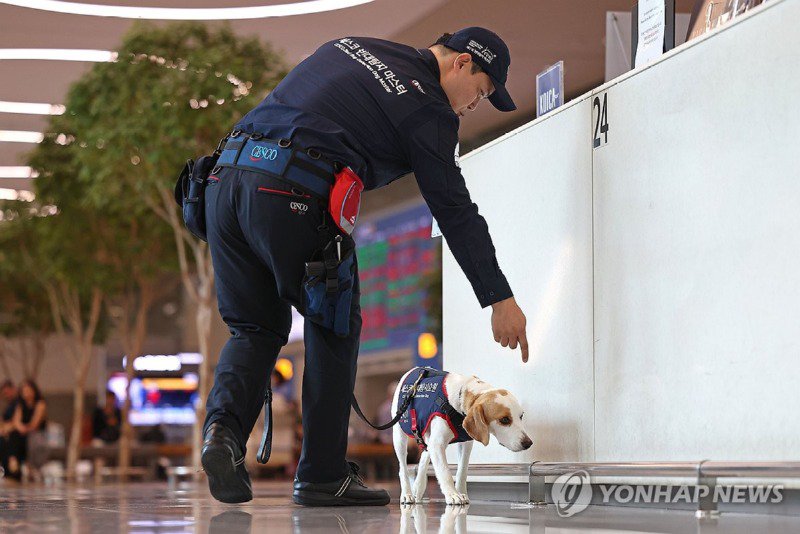 국내 최초 빈대탐지견.jpg