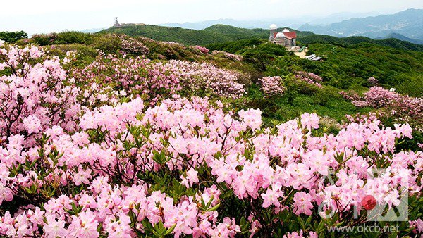 태백산 소백산   