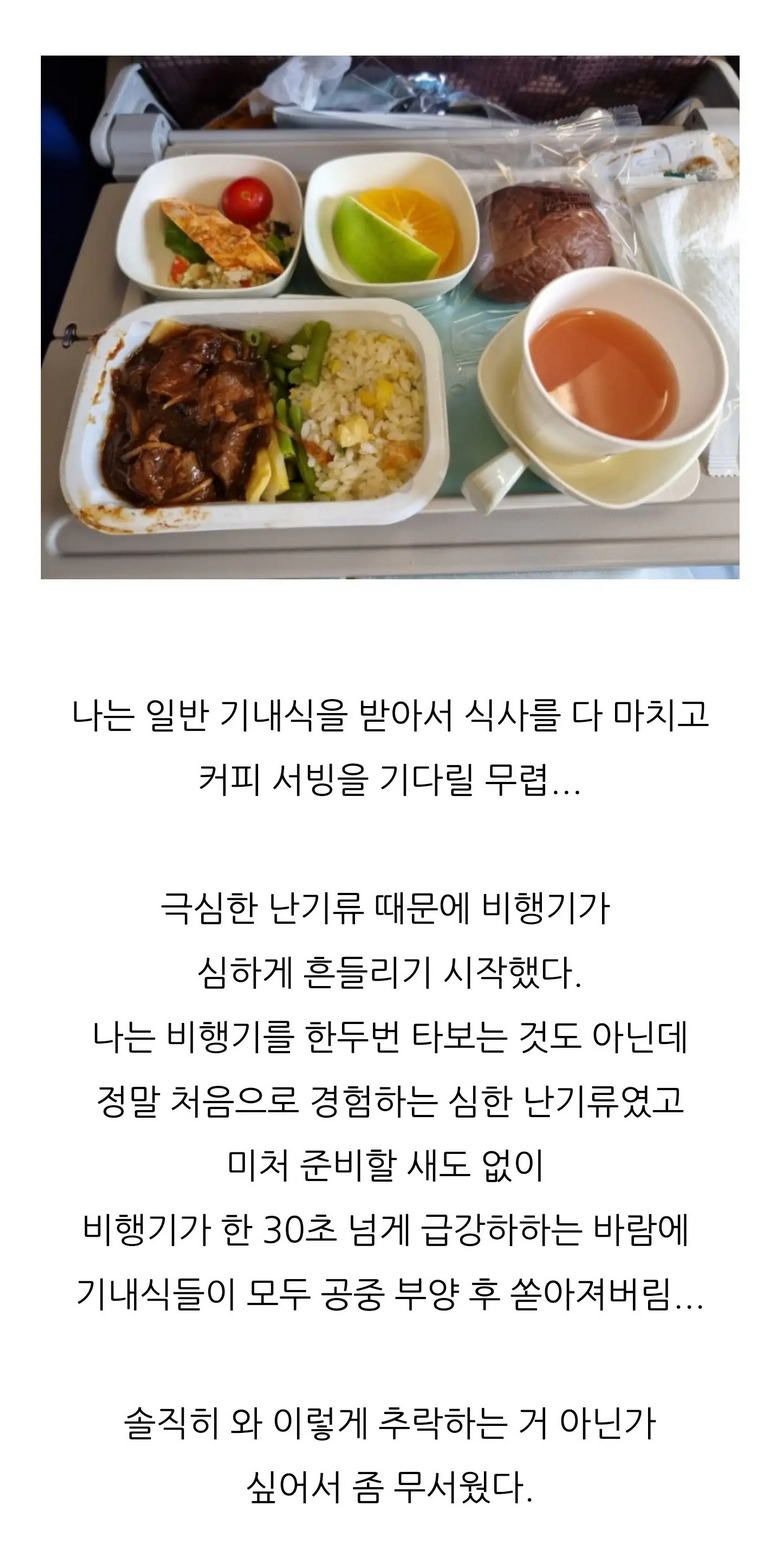 대한항공 몽골행 난기류 아수라장.jpg