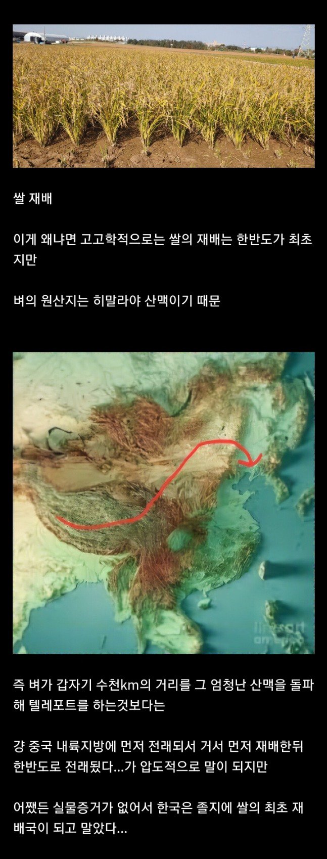 사실 한국이 최초라는데 한국 학계에서 부정하는 것