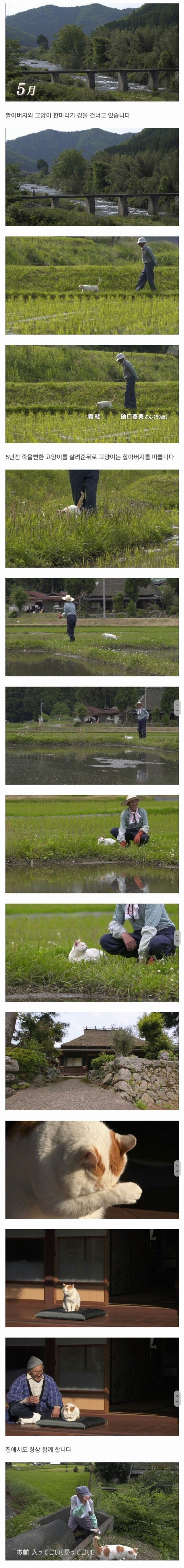 할아버지와 고양이 한마리가 강을 건너고 있습니다