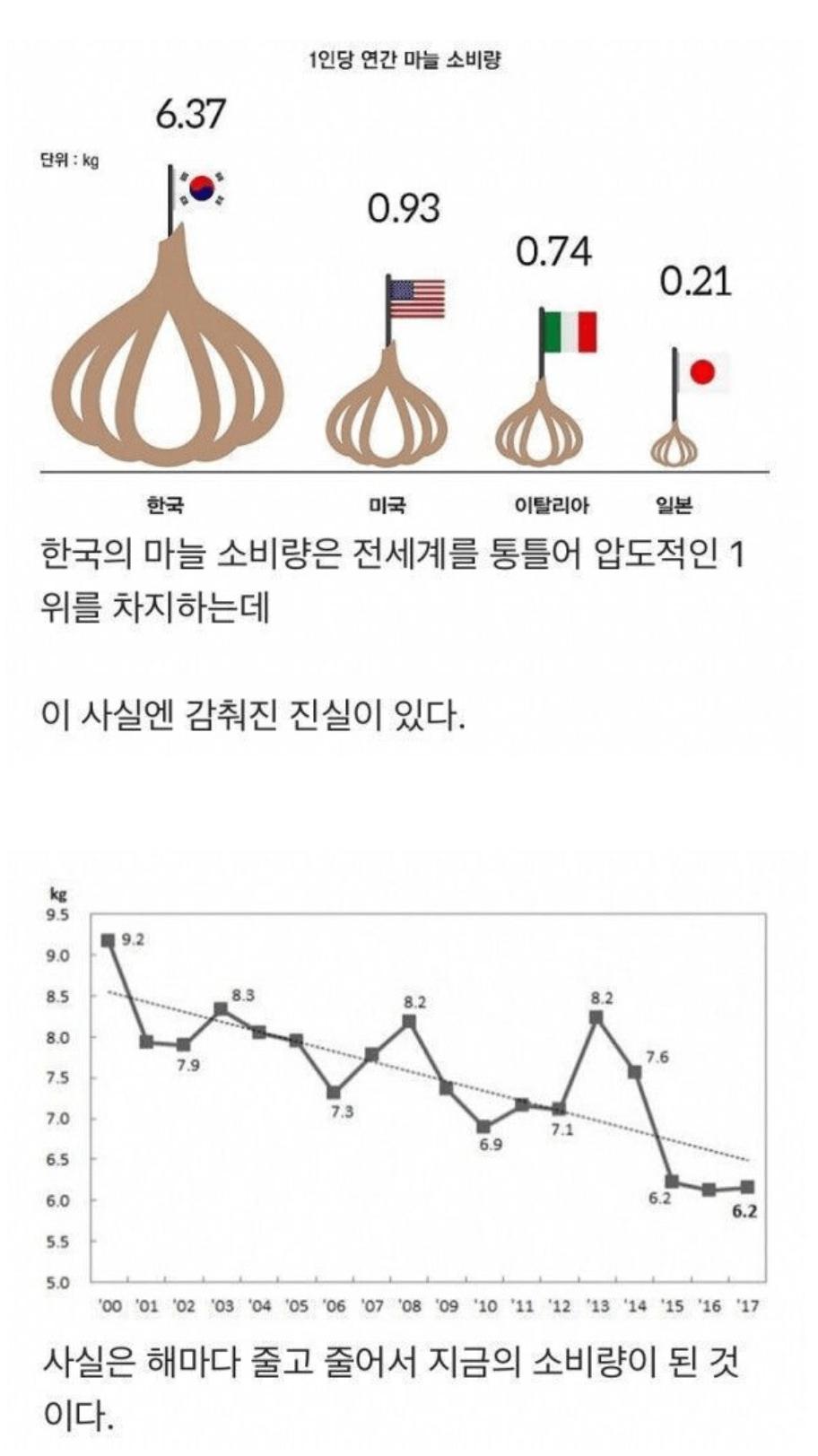 한국인 마늘 섭취량의 진실