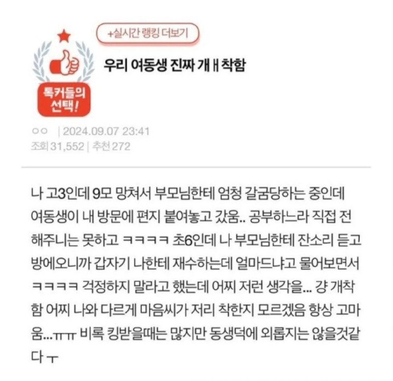 혼난 고3 언니한테 위로 편지 쓴 초6동생