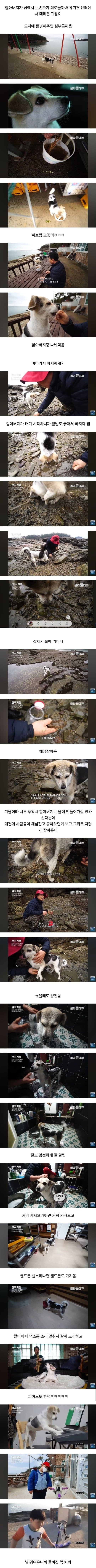 선유도에 사는 천재 갱얼쥐 