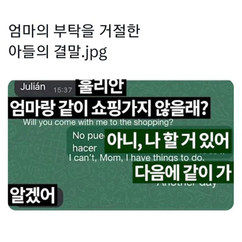 엄마의 부탁을 거절한 아들의 결말