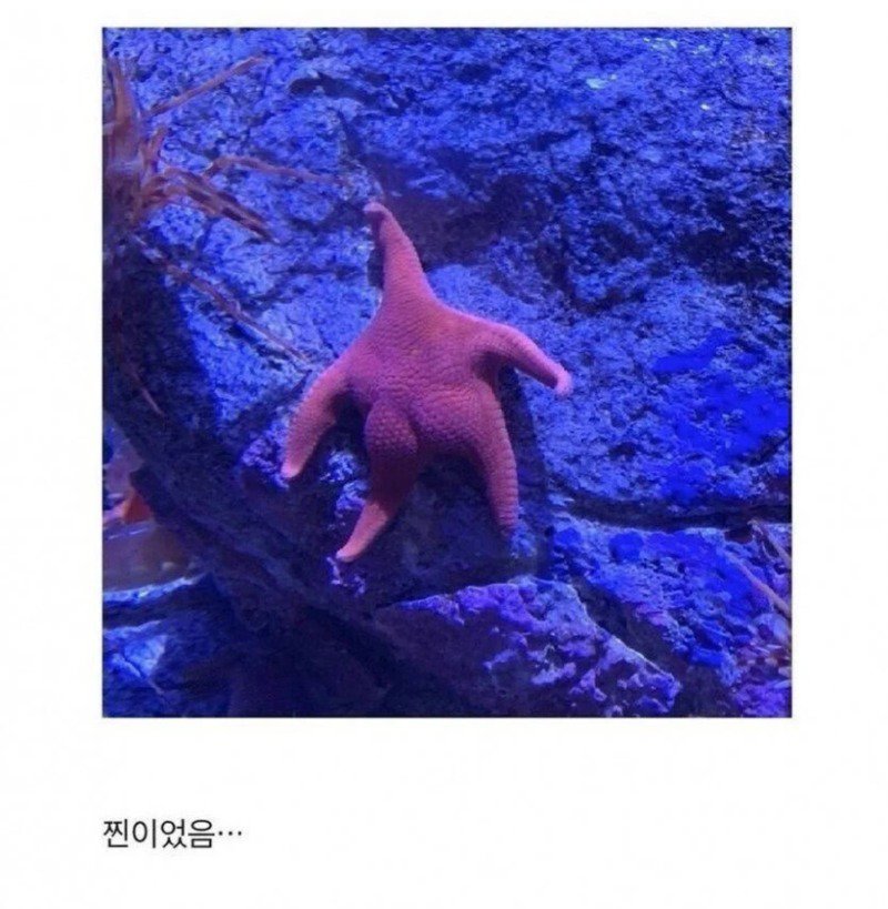 애니메이션 속 고증