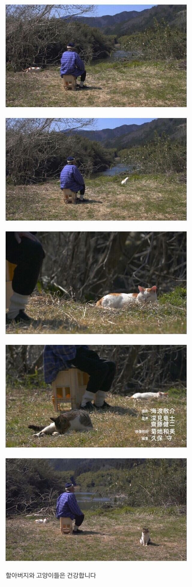 할아버지와 고양이 한마리가 강을 건너고 있습니다