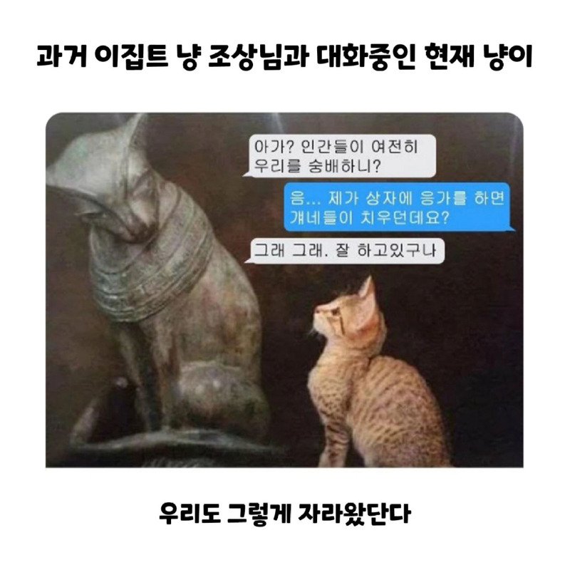 어떤 고양이 유튜버의 추석 차례상