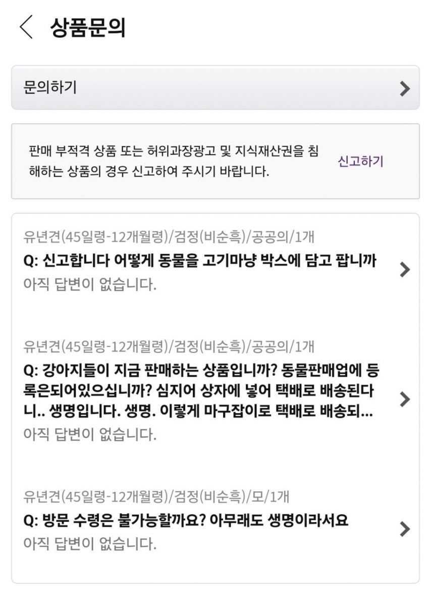 쿠팡에서 판매 중인 살아 있는 강아지