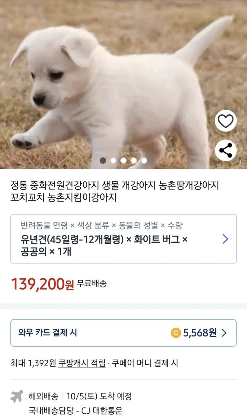 쿠팡에서 판매 중인 살아 있는 강아지