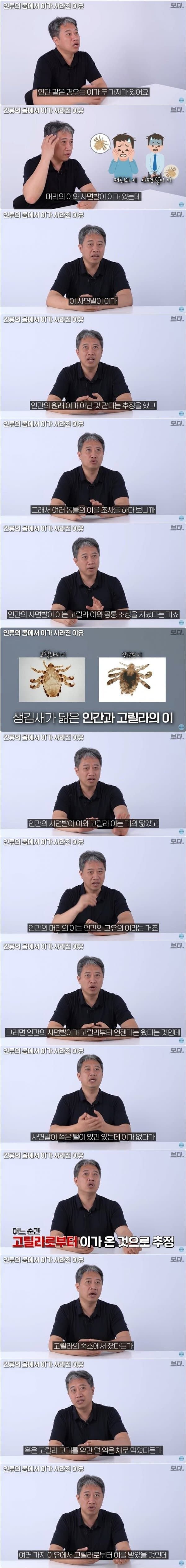 인간에게 사면발이가 생긴 이유.jpg