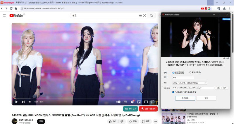 국산 유튜브 4k 영상 다운로드 프로그램 만든 개발자