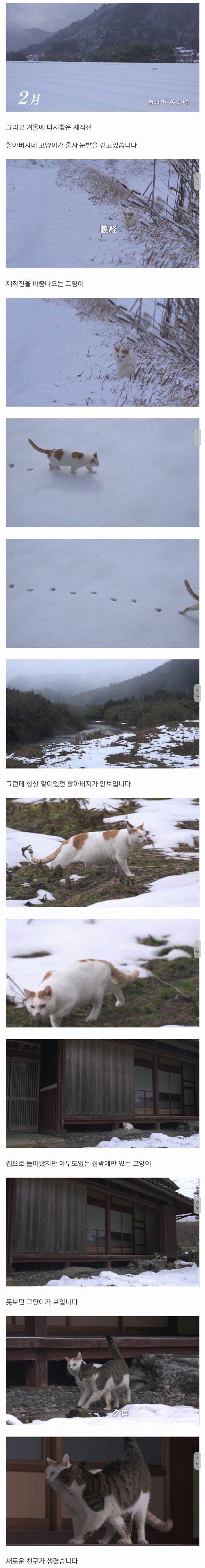 할아버지와 고양이 한마리가 강을 건너고 있습니다