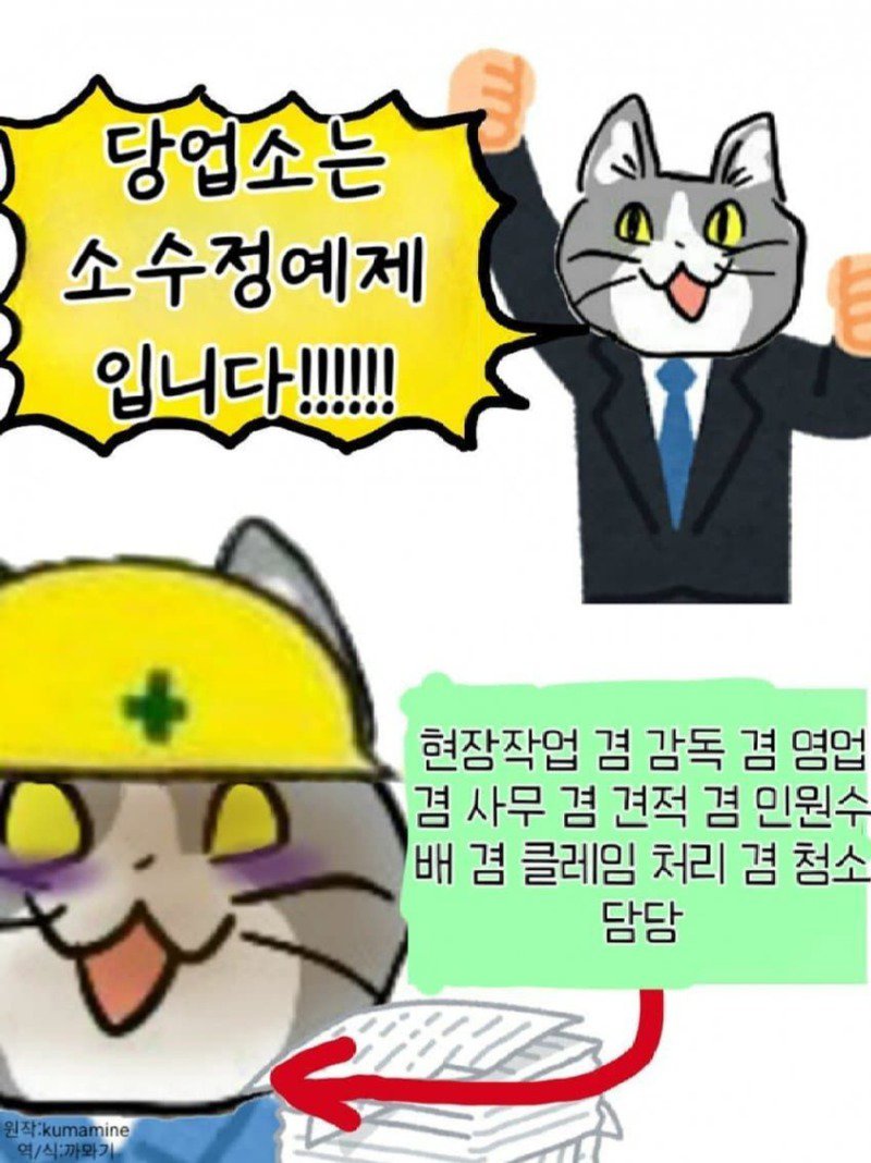 좆소고양이 모음집 