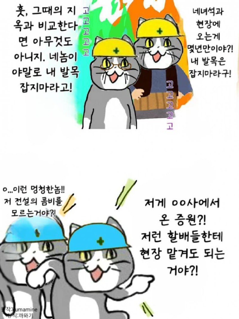 좆소고양이 모음집 