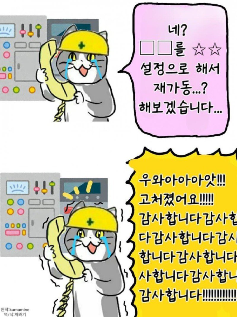 좆소고양이 모음집 