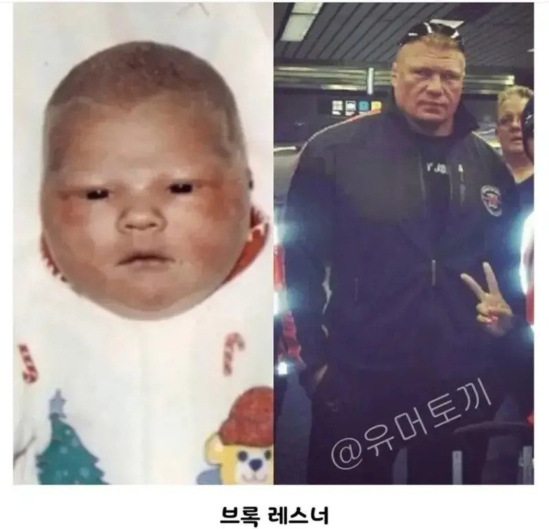 노성형 인증