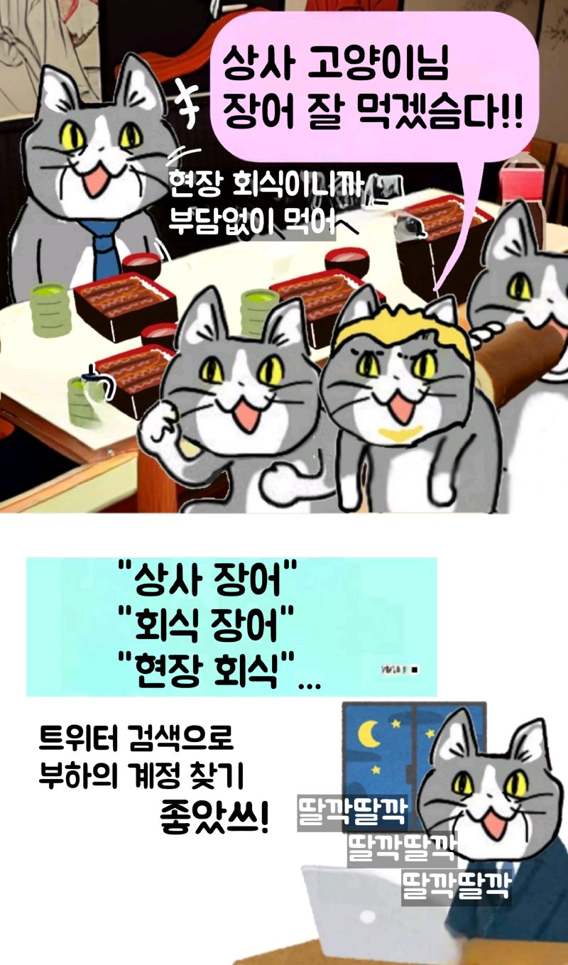 펌) ㅈ소고양이(좋았쓰!!!) 최신화 손번역 2