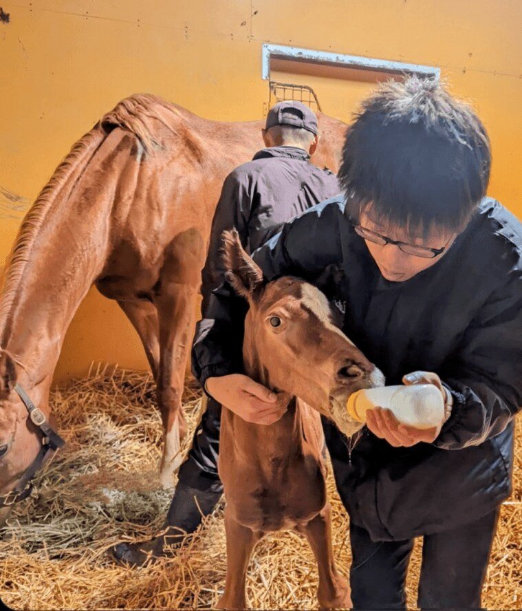 신입이 그만두지 못하게 막는 사악한 방법