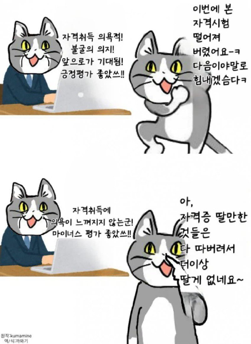 좆소고양이 모음집 