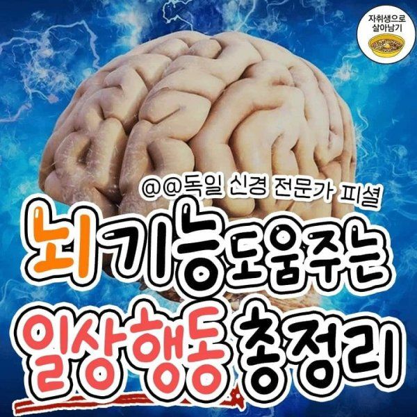 뇌 기능 도움 주는 일상 행동