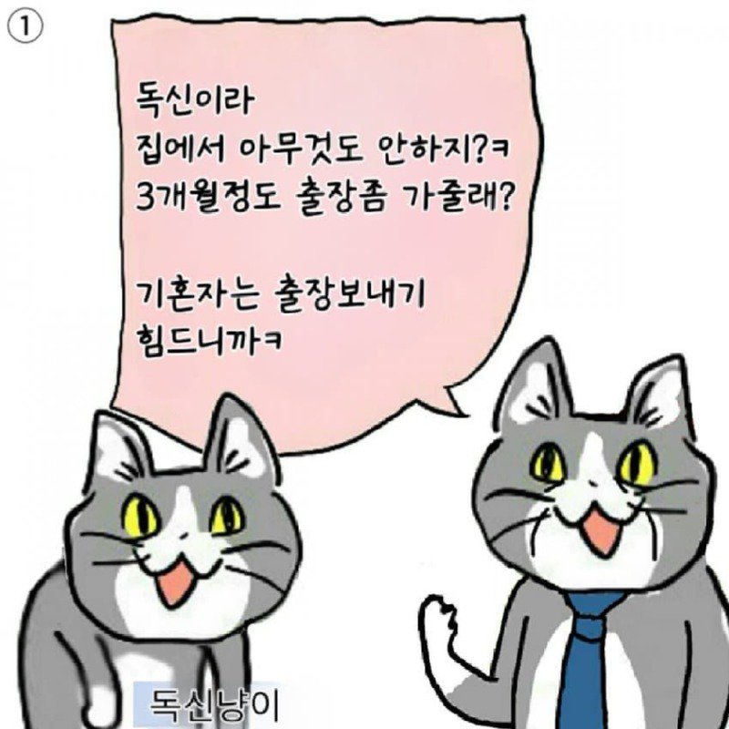 좆소고양이 모음집 