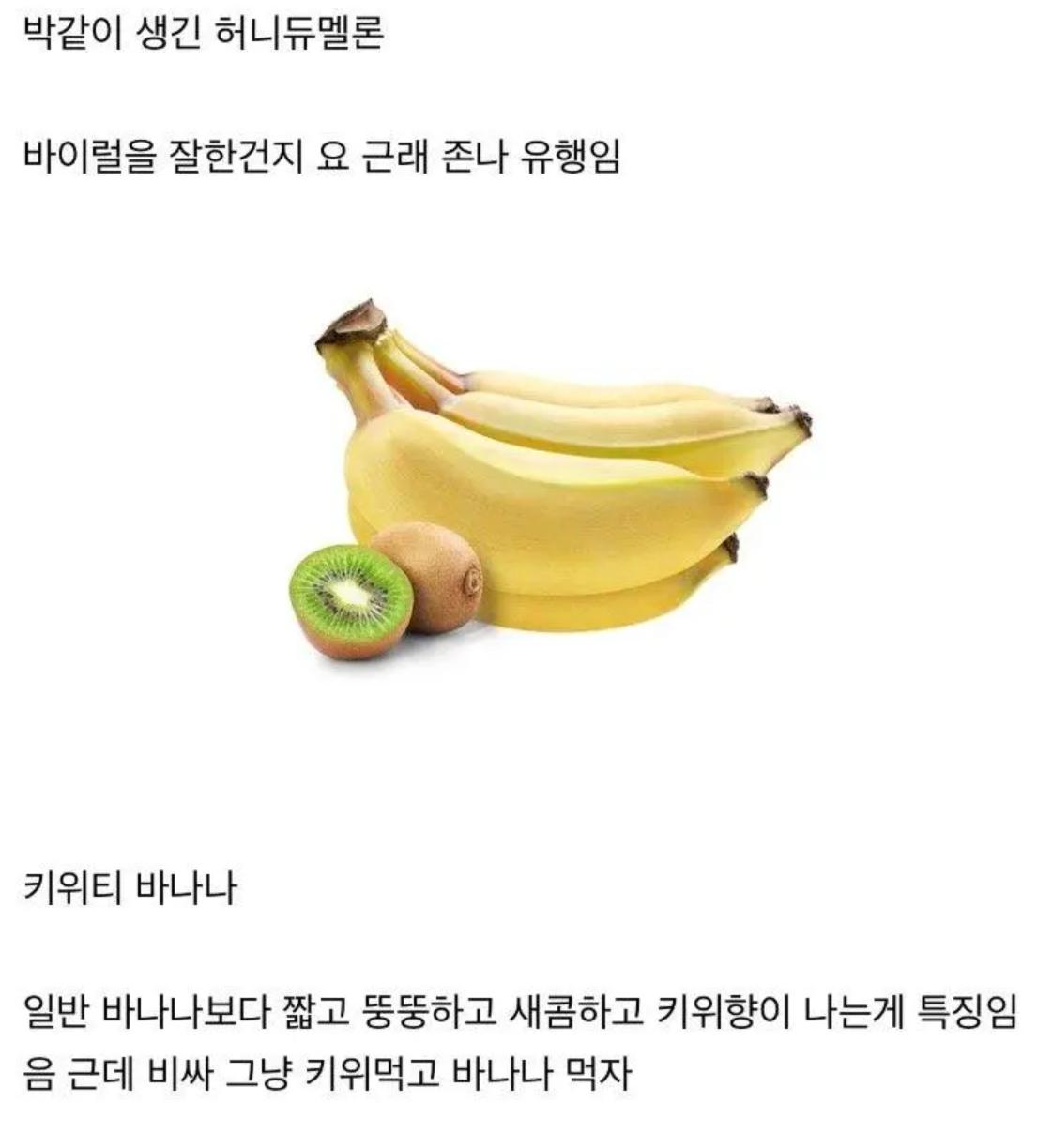 요 몇년간 새로나온 과일들