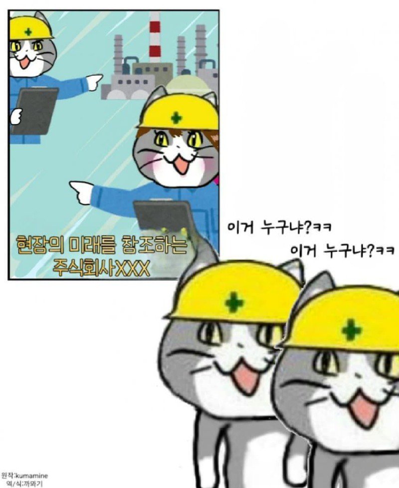 좆소고양이 모음집 