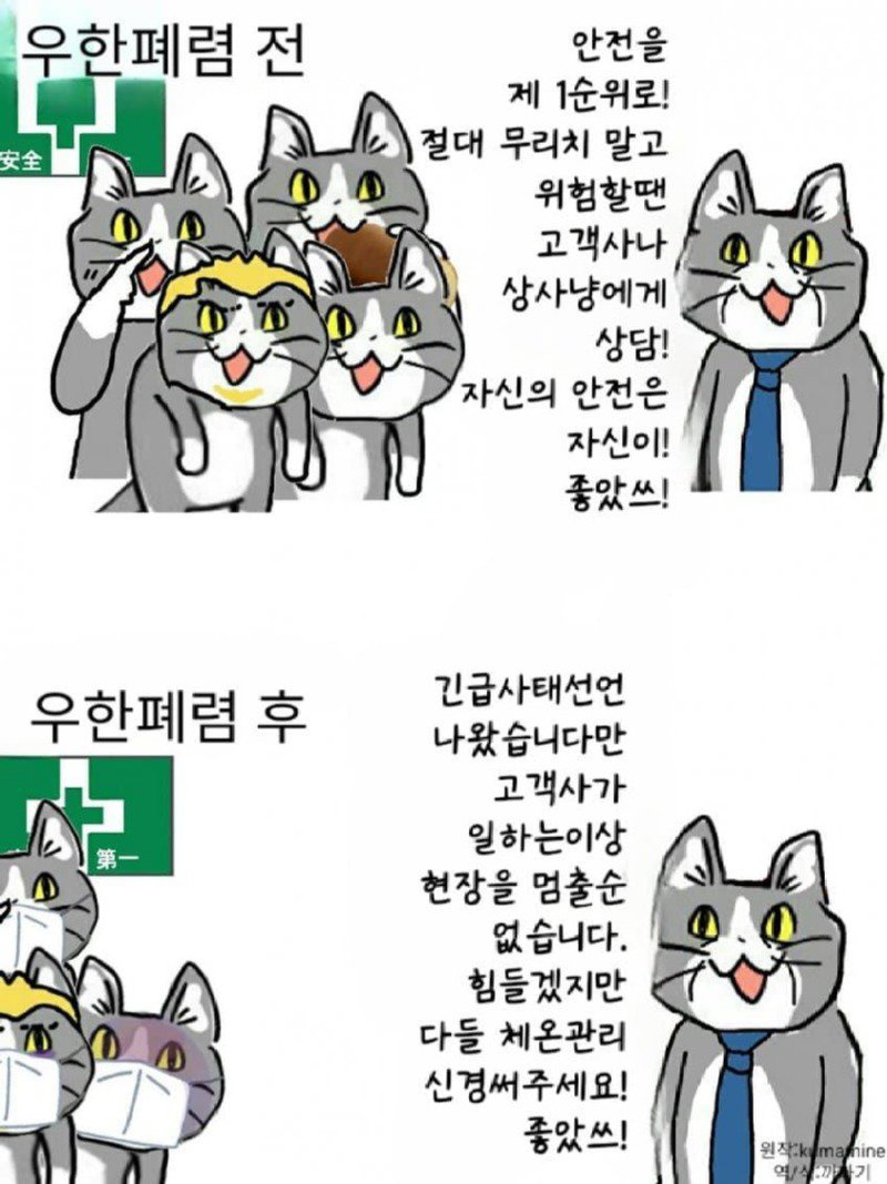 좆소고양이 모음집 