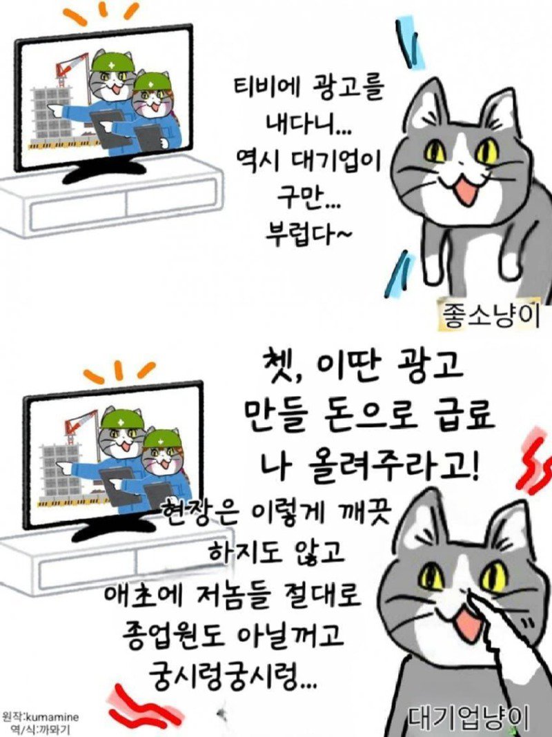 좆소고양이 모음집 