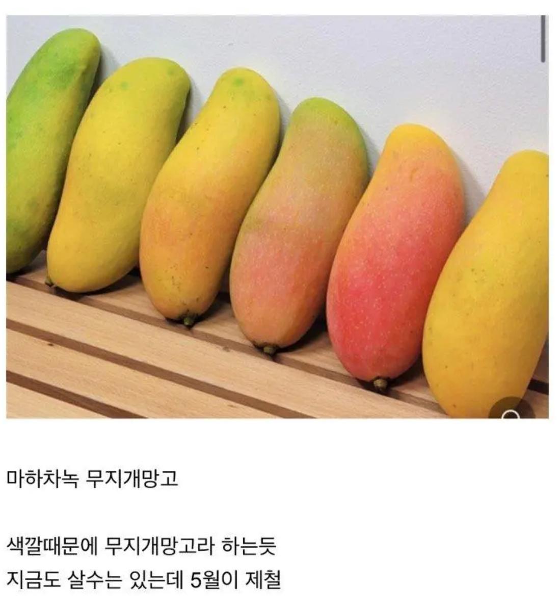 요 몇년간 새로나온 과일들