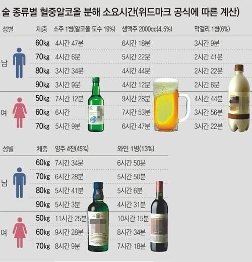 술 종류별 몸에서 알코올이 해독되는 시간