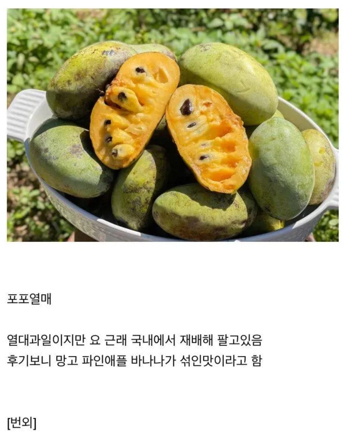 요 몇년간 새로나온 과일들