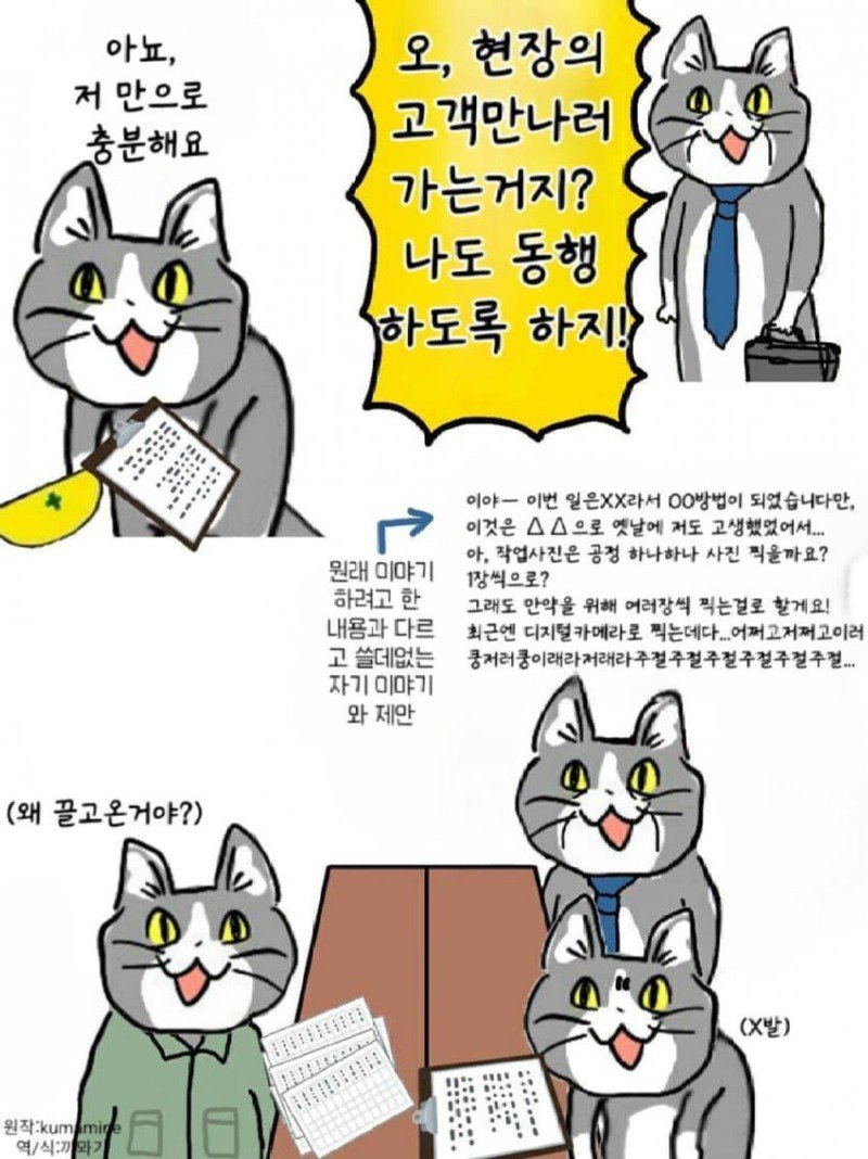 좆소고양이 모음집 