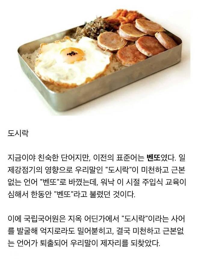 죽어 사라질뻔한 단어