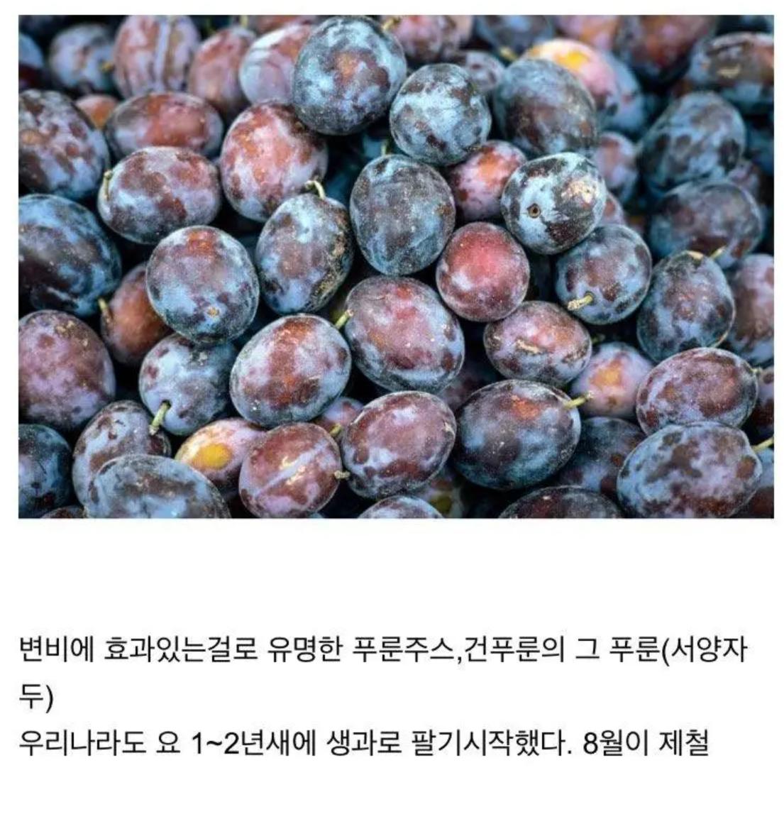 요 몇년간 새로나온 과일들