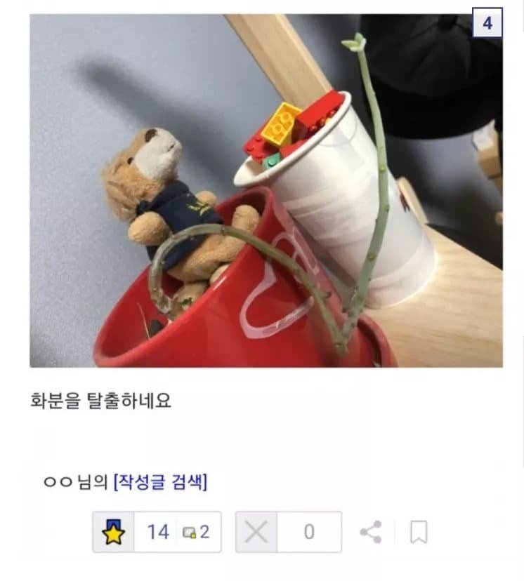 조금 이상한 식물갤 드루이드.jpg