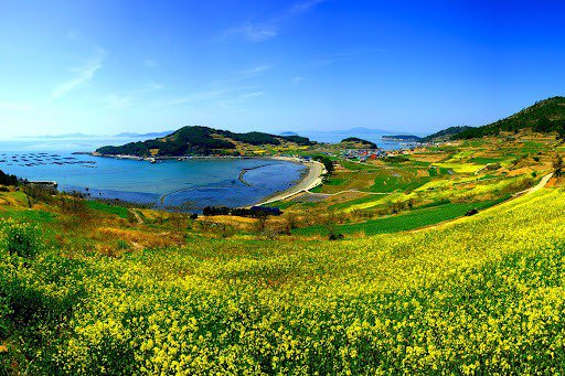   한국 섬 사진 몇장 