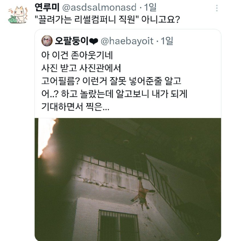 귀여운 인형 사진 같은걸 기대했던 사람