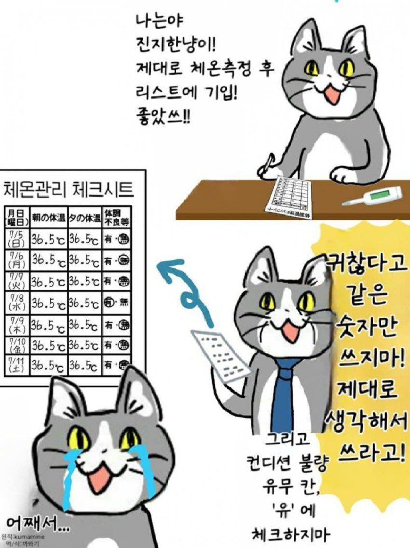 좆소고양이 모음집 